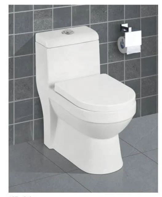 Export Quality Factory Wholesale Ceramic Wc Toilet Washdown S-trap One-Piece in China