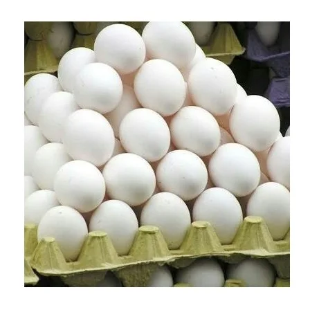 Best Price White / Brown Shell Fresh Table Chicken Eggs Bulk Stock Available With Customized Packing