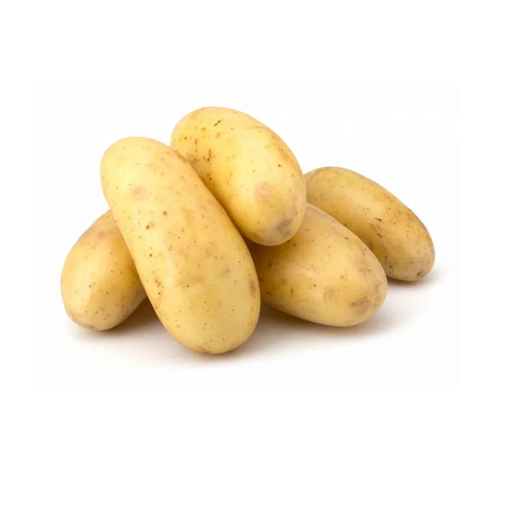 Top Selling Fresh Potato Bangladeshi Agriculture 100% Organic Fresh Nature Potato Export Oriented From Bangladesh