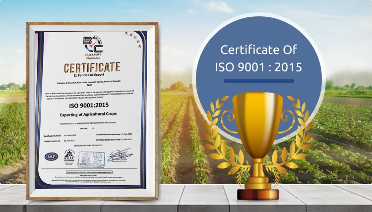 Конкурентоспособная цена, оптовая продажа, высококачественные питательные красные Замороженные гранаты для подлинных оптовых покупателей