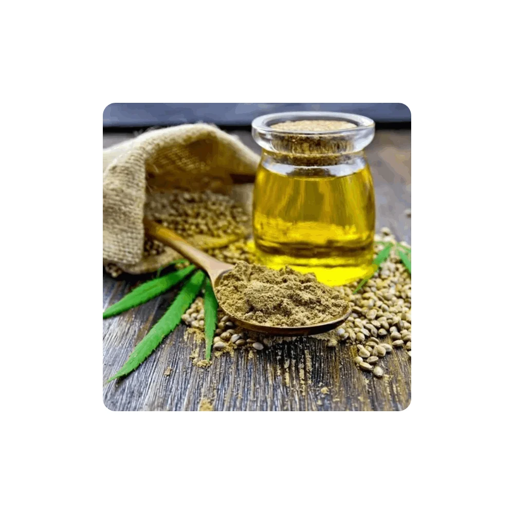 Hemp Seed Oil Pure & Natural for Pain Anxiety & Stress Relief 100% Pure Bulk Hemp Seed Oil Essential Oil for Sale