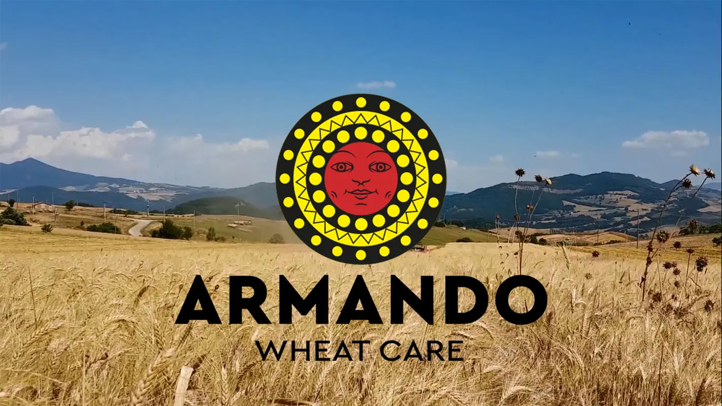 High Italian Quality Dry pasta 400g Alfbeto kids in pack Bronze Die Durum Wheat Pasta for Wholesale