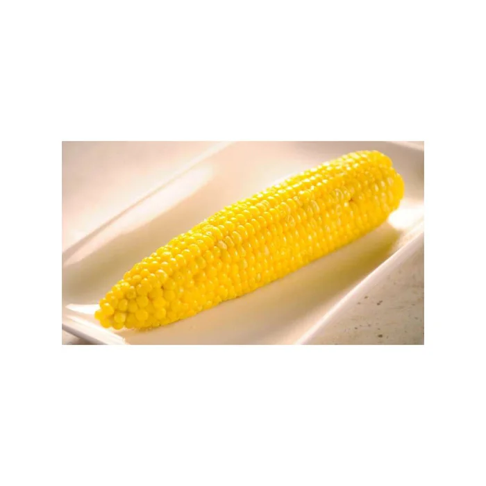 Yellow Corn for Human Consumption and animal feed at wholesale price