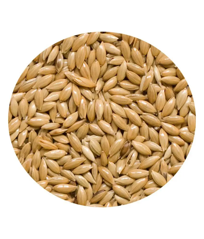 Birds Food Canary Seed Wholesale / Canary Bird Seeds for Sale Buy Bulk / Processed Natural Birds Food AA Grade