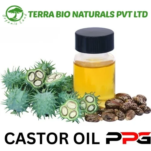 Industrial and Cosmetic Uses Castor Oil Pale Pressed Grade Export With Best Price Premium Quality Supplier In India