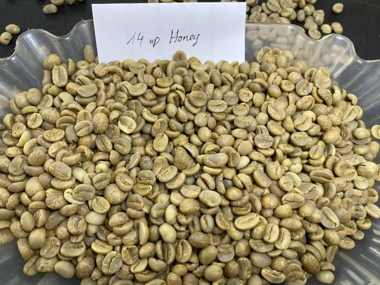 Whole Bean Coffee Beans Robusta Common Coffee Beans Robusta Best Selling At Good Price Arabica Good Price