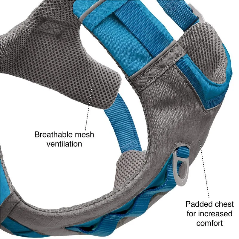 2024 New Design Printed Dog Harness Thermal Sublimation Polyester Material Pet Dog Collar Harness And Leash Set