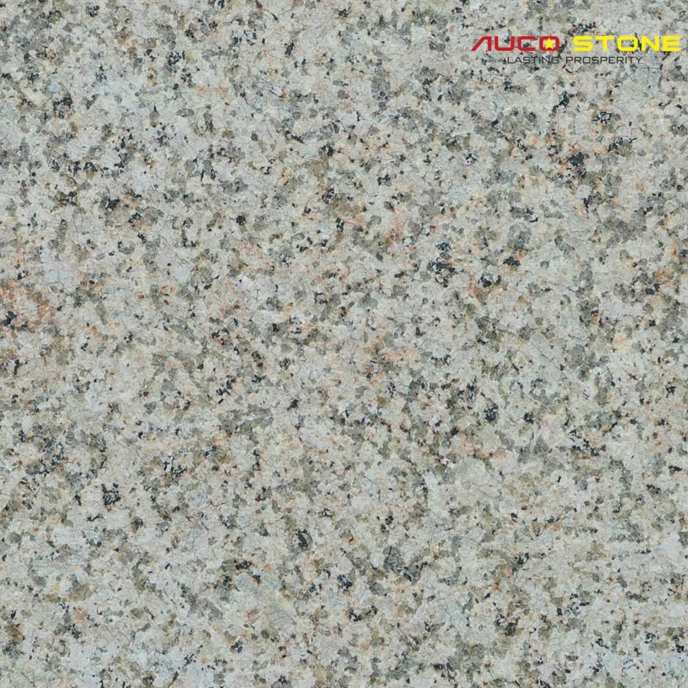 Hot Sale natural new  Phu Yen cream granite stone cut to size flamed surface best seller best price in Vietnam Granite stone