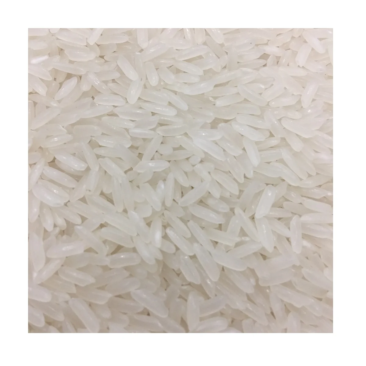 Белый рис хорошая упаковка для приготовления урожая 5% ломаного ароматного вьетнамского типа жасмина с мягким соотношением от фабрики риса