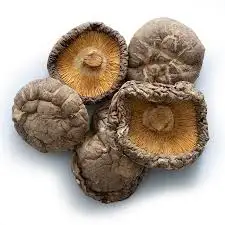 Top Quality Light Tawny Selected Healthy Dried Shitake Mushroom