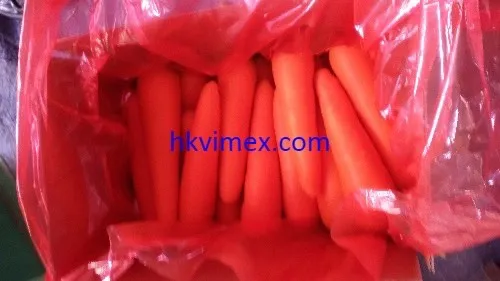 New crop fresh organic vegetables wholesale carot/carrot seeds price of carrots in bulk for export in Viet Nam