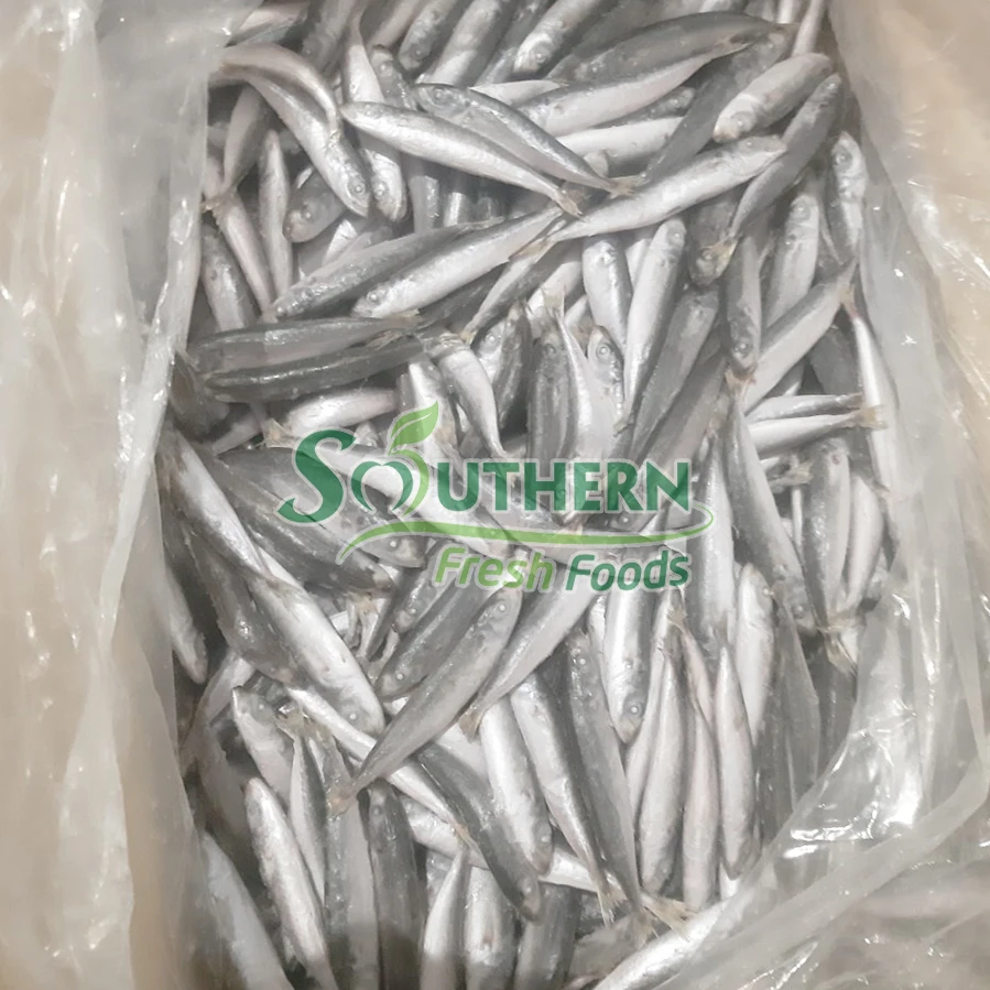 Bulk Sales Sea Fish Size process IQF Wild Caught SFF weight packaging anchovy Frozen Blue Anchovy from Vietnam