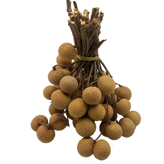 Premium Quality Imported Grade Longan Fruit Temperature measuring Quality Selecting Fresh Longan for Consuming from Thailand