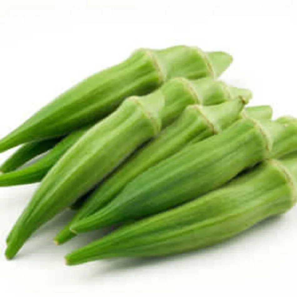 HOT SALE BEST SELLER 100% ORGANIC VEGETABLE FRESH OKRA from Thailand
