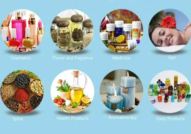 Free Sample Fragrance Oil Original Bulk Concentrated Pure Fragrance Oil For Perfume Branded Designer Making