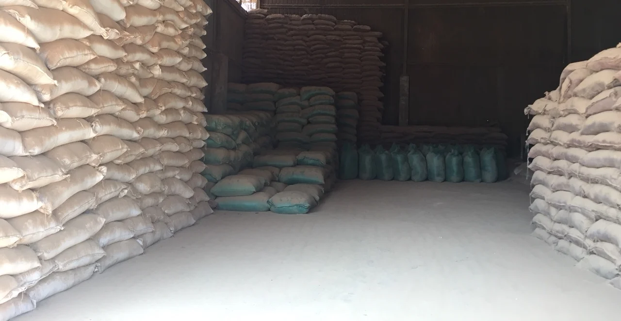 Pine wood powder mixture of camphor and lemon grass wood powder pure quality from GMEX, VietNam