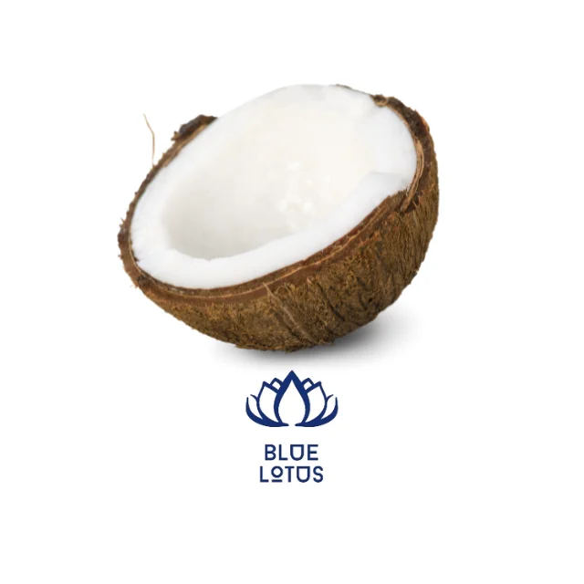 Зрелый кокос из Вьетнама (11000006027362)