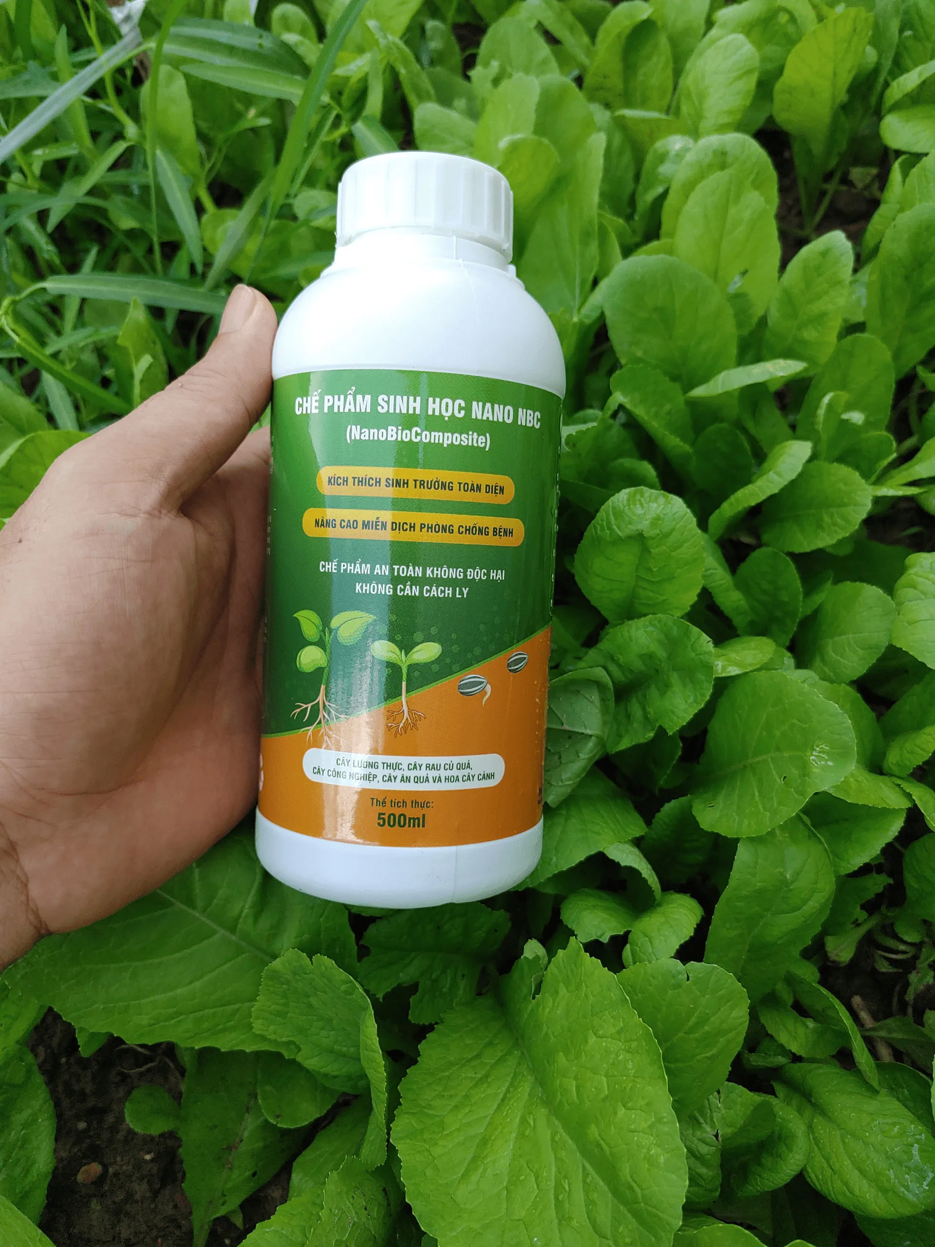 Nano Composite High Quality Purity Agriculture Biological Fertilizer Customized Packing