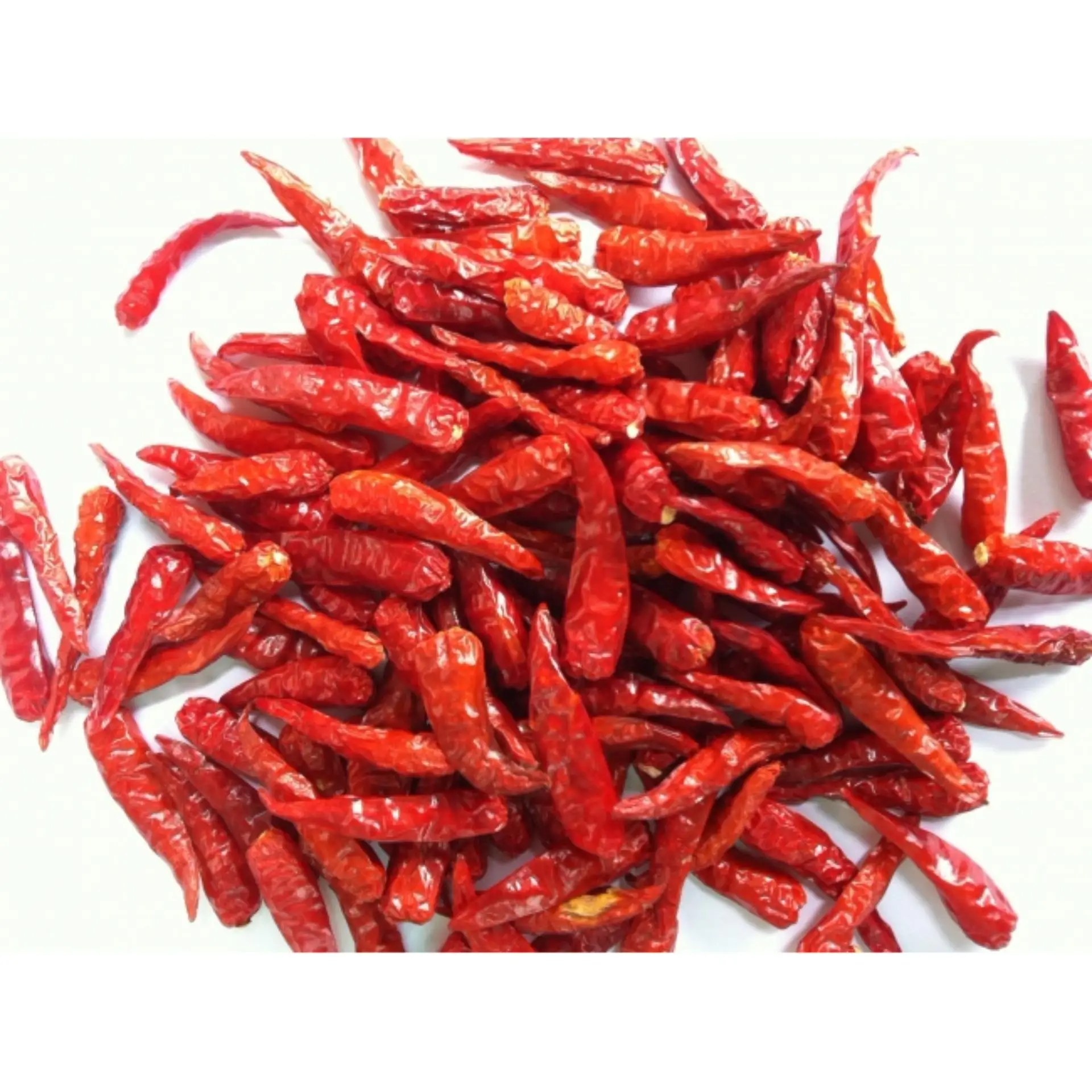 Multi usage for cooking 2 years package quality shelf life raw processing type chili Dried Red Chili from Vietnam