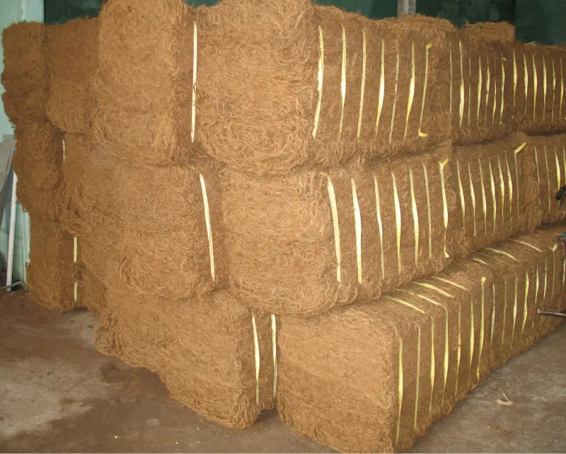 Coir Mattress Fiber Sustainable and Ecological made from natural and original coconut Coir for furnishings