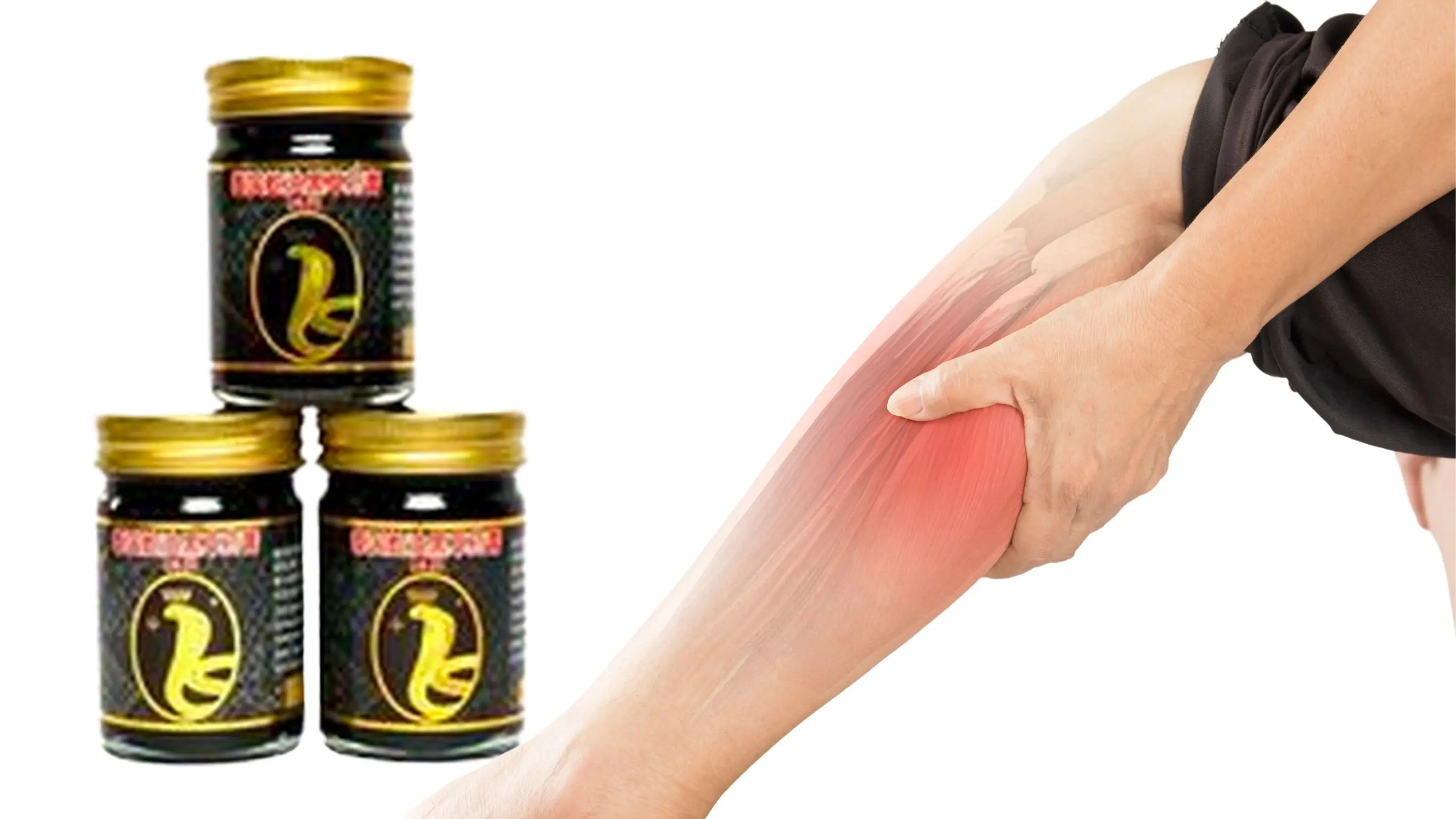 2024 Best-Selling Thai Herbal Phaya Ngu Dam Balm Medical Supplements in Patch Form Hot Product 50gm Size