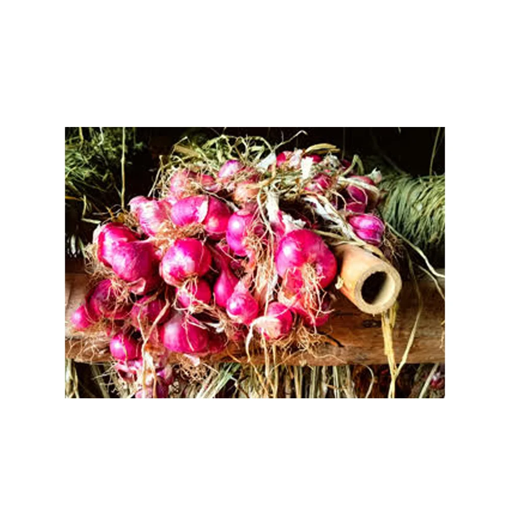 Лидер продаж, тайские овощные свежие красные шалоты + 66934602728 Сетчатая Сумка для лука, высокое качество, готов к экспорту из Таиланда