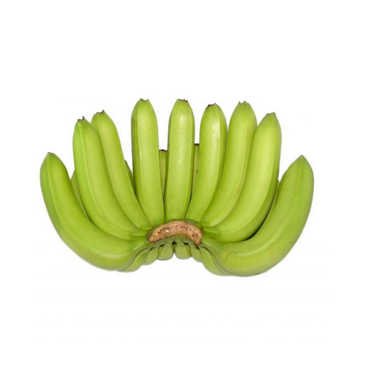 fresh green cavendish banana high quality best popular fruit