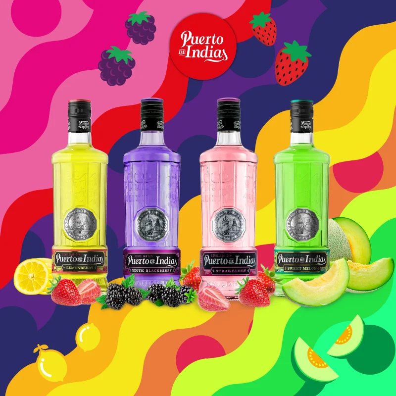 Gin Puerto de Indias Blackberry Premium Gin Alcoholic Beverage Glass Bottle Liquor 1L 37,5%