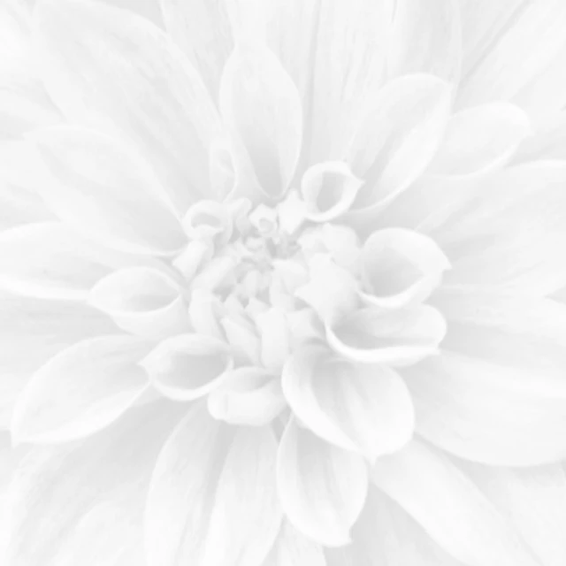 OPTICAL BRIGHTENING AGENTS - ARRON BRIGHT