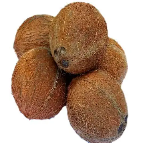 Высококачественный полуочищенный кокос по оптовым ценам