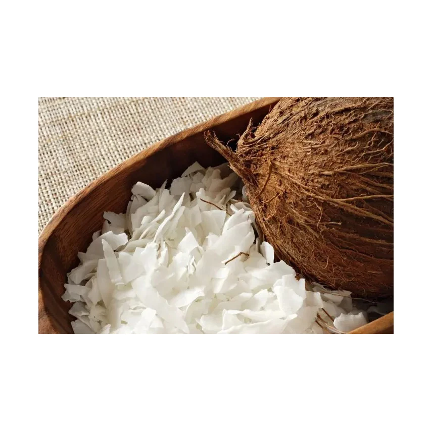High quality coconut milk powder coconut fruit extract coconut