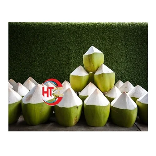 Organic Natural Sweet Diamond Top Cut Green Siamese Coconut (With Green Shell) Exported And Shipped From Vietnam