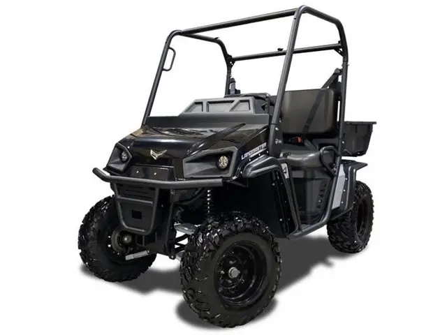 Factory Supply Wheel Drive Electric Lifted Golf Cart Hunting Electric Car Powerful 5KW AC Motor Controller Electric Golf Cart