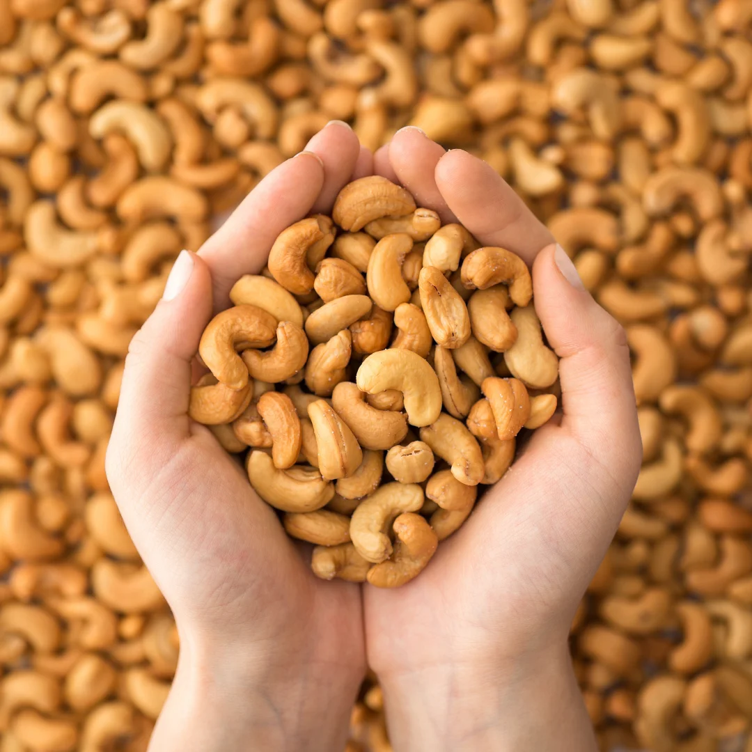 BINH PHUOC CASHEW NUTS GOOD QUALITY W180 W210 W320 W450  NATURAL COLOR CHEAP COST AND COMPARATIVE PRICE FOR SUPPLIER