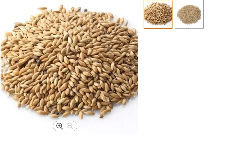Canary seeds wholesale white, pointed millet bird food feed 25kg canary seeds grass seeds