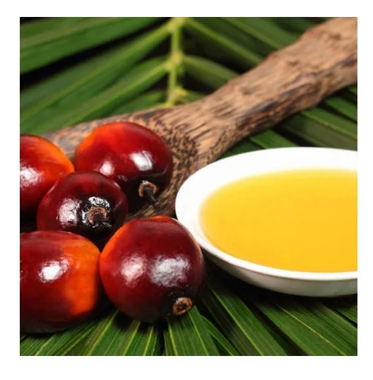 Crude Palm Oil CPO sunflower oil RBD Palm Olein / Vegetable Cooking Oil / Cooking Oil Halal Pure Vegetable Palm Cooking Oil