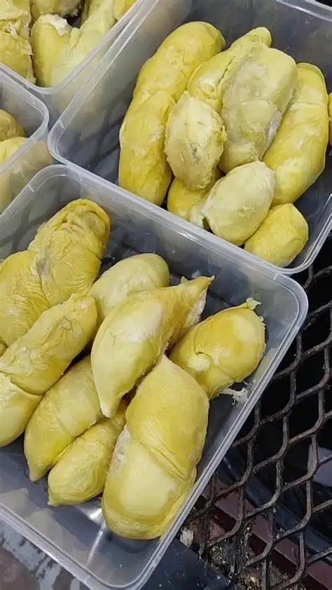 Высшее качество замороженный дуриан сделано во