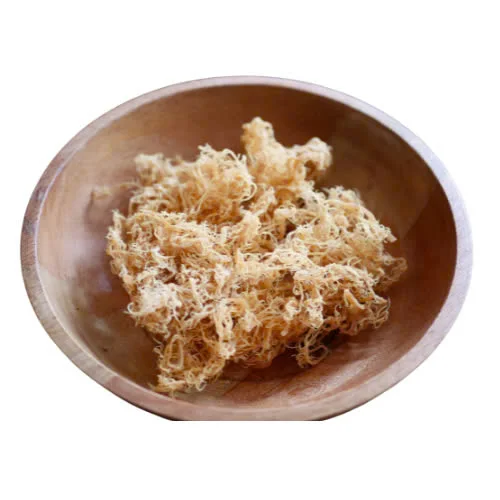 WHOLESALE SELLING HIGH QUALITY DRY YELLOW SEA MOSS 2024 COMPETITIVE PRICE