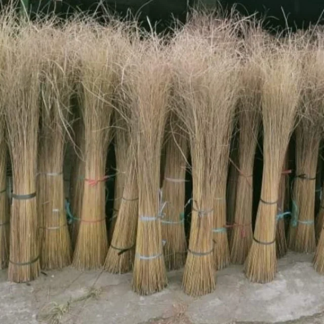 HOT DEAL COCONUT BROOM STICK BROWN AND WHITE COLOUR EXPORT QUALITY INDONESIA ORIGIN GOOD QUALITY