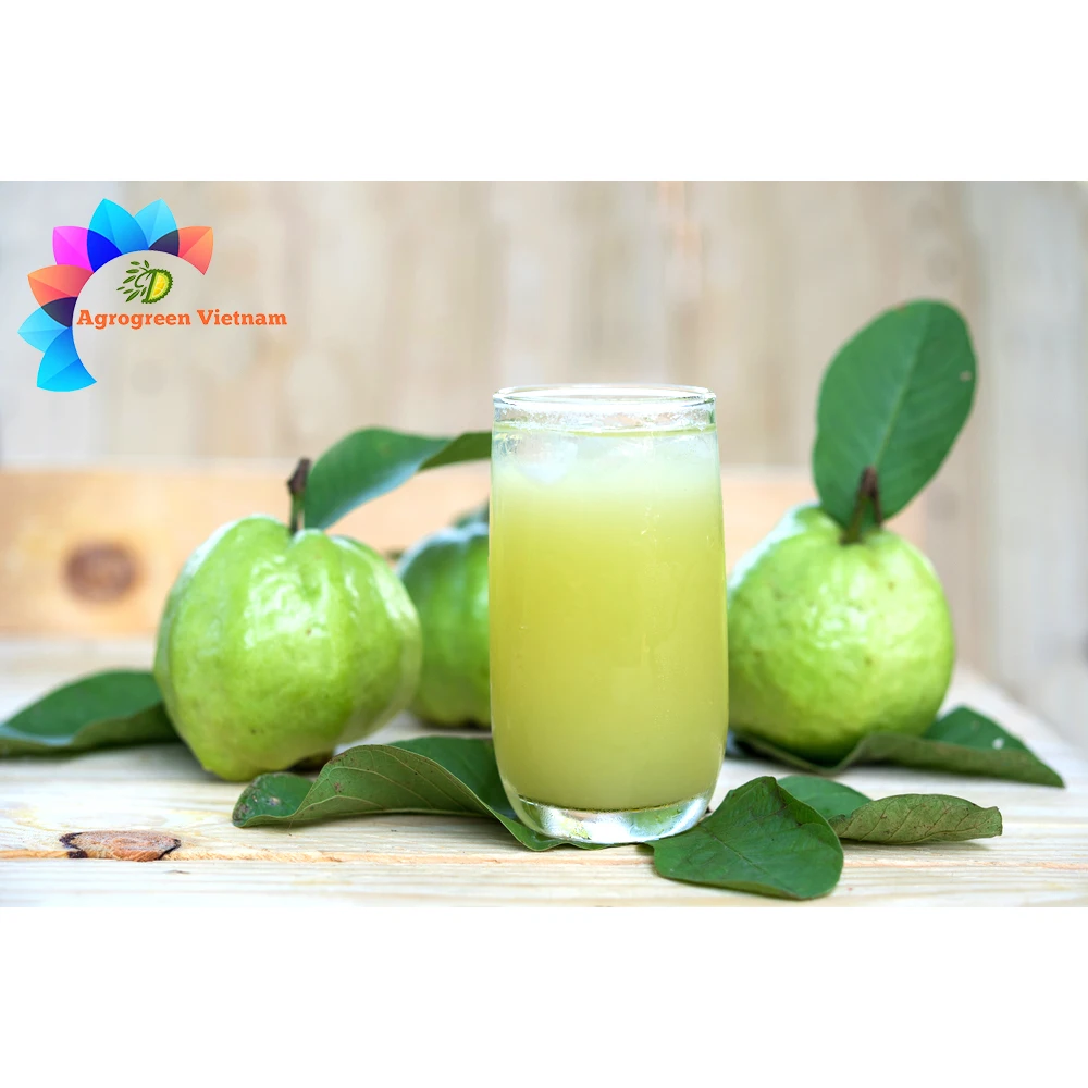 Exporter hot sale frozen Guava juice high-quality fruit juice concentrates fruit Tropical Fruit Juice