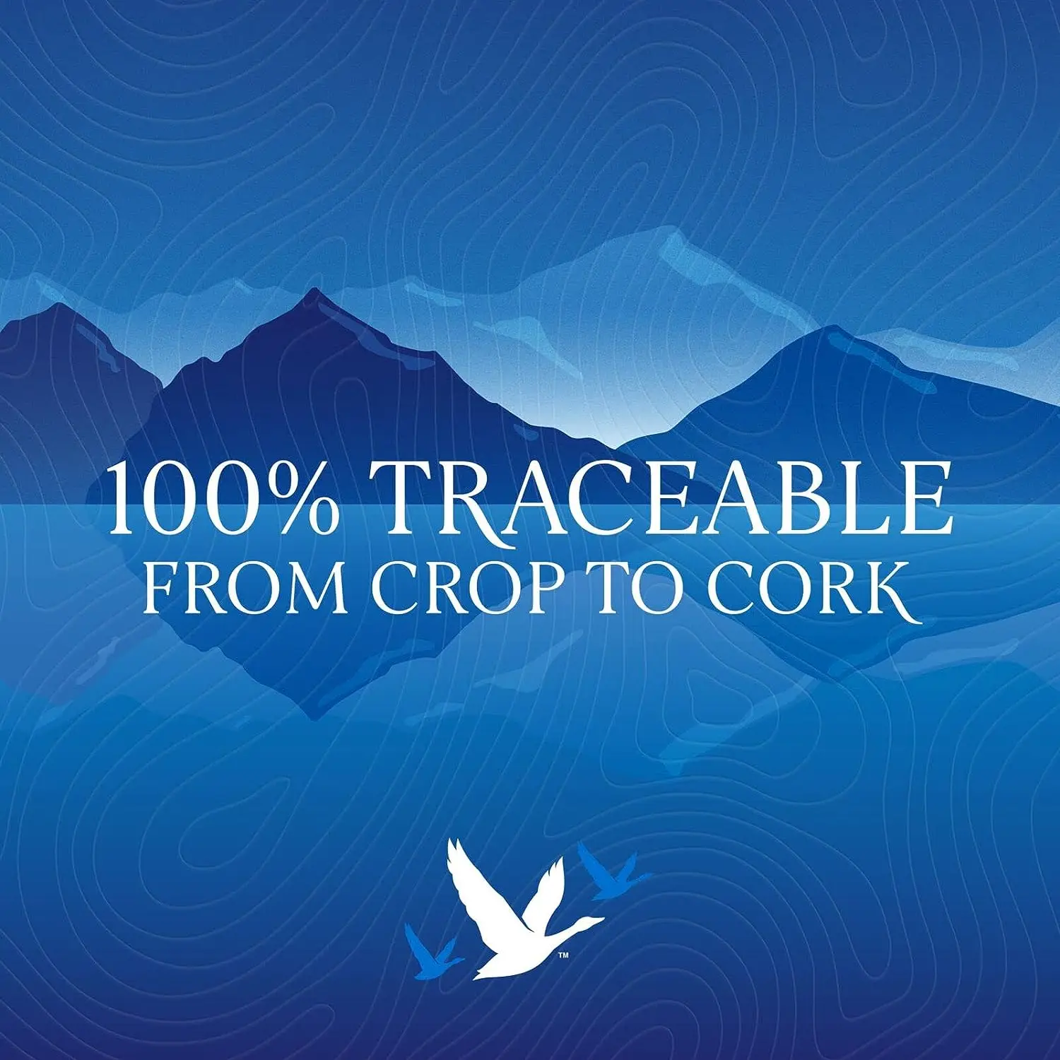 Premium grey goose vodka French Vodka Made from The Finest French Single-Origin Wheat & Natural Spring Water 40% ABV 70cl