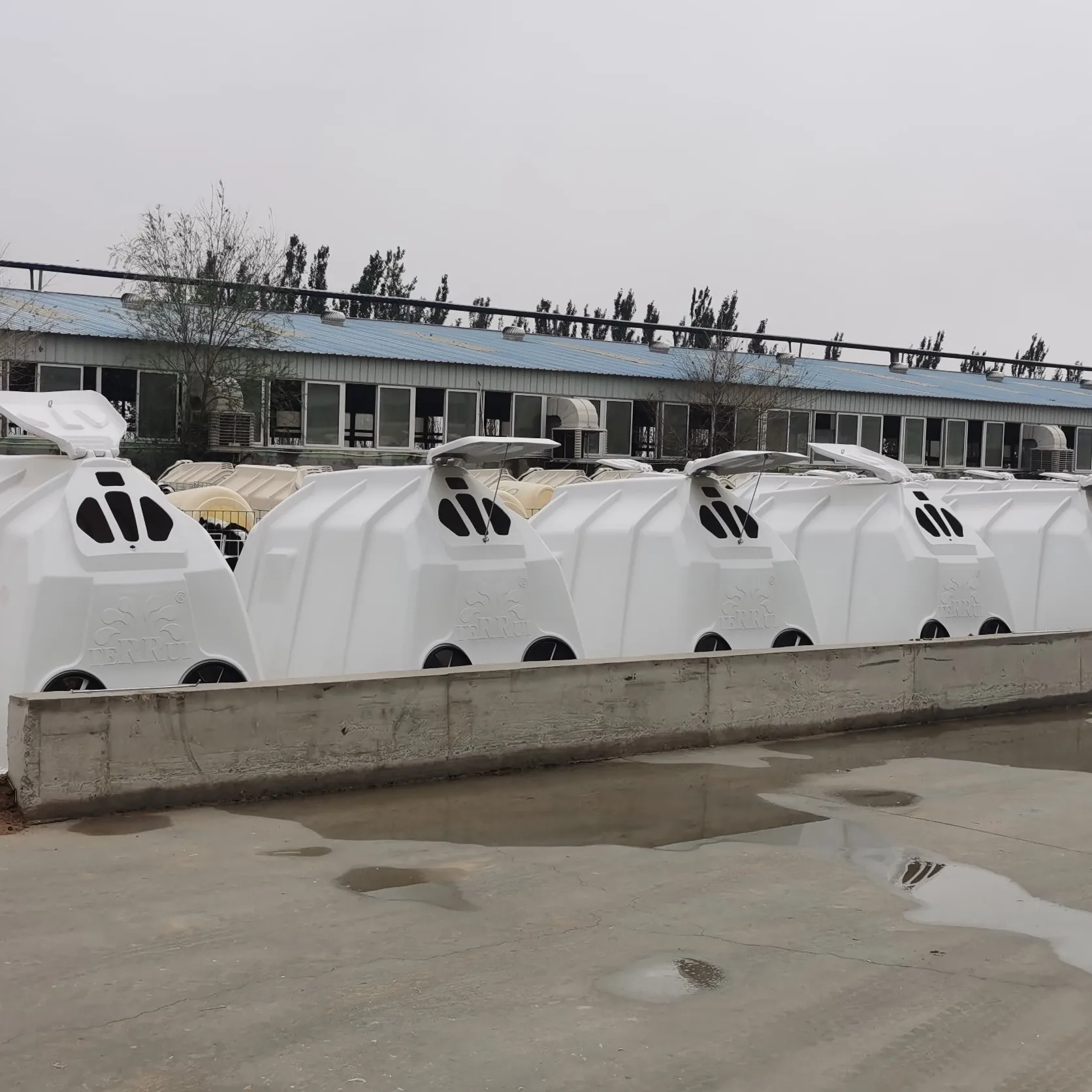 Молочная Ферма пастбище индивидуальный дом для голени ручка крупного рогатого скота корпус