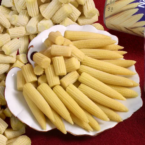 BEST QUALITY BABY CORN CAN FROM VIETNAM!!! SUPER FRESH CORN 100% NATURAL GOOD FOOD FOR YOU