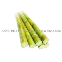 sugar-cane-250x250.jpg