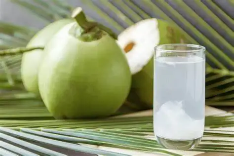 Wholesale Coconut water with pulp 100% Fruit juice with coconut flavor Manufacturer in Coconut water OEM ODM