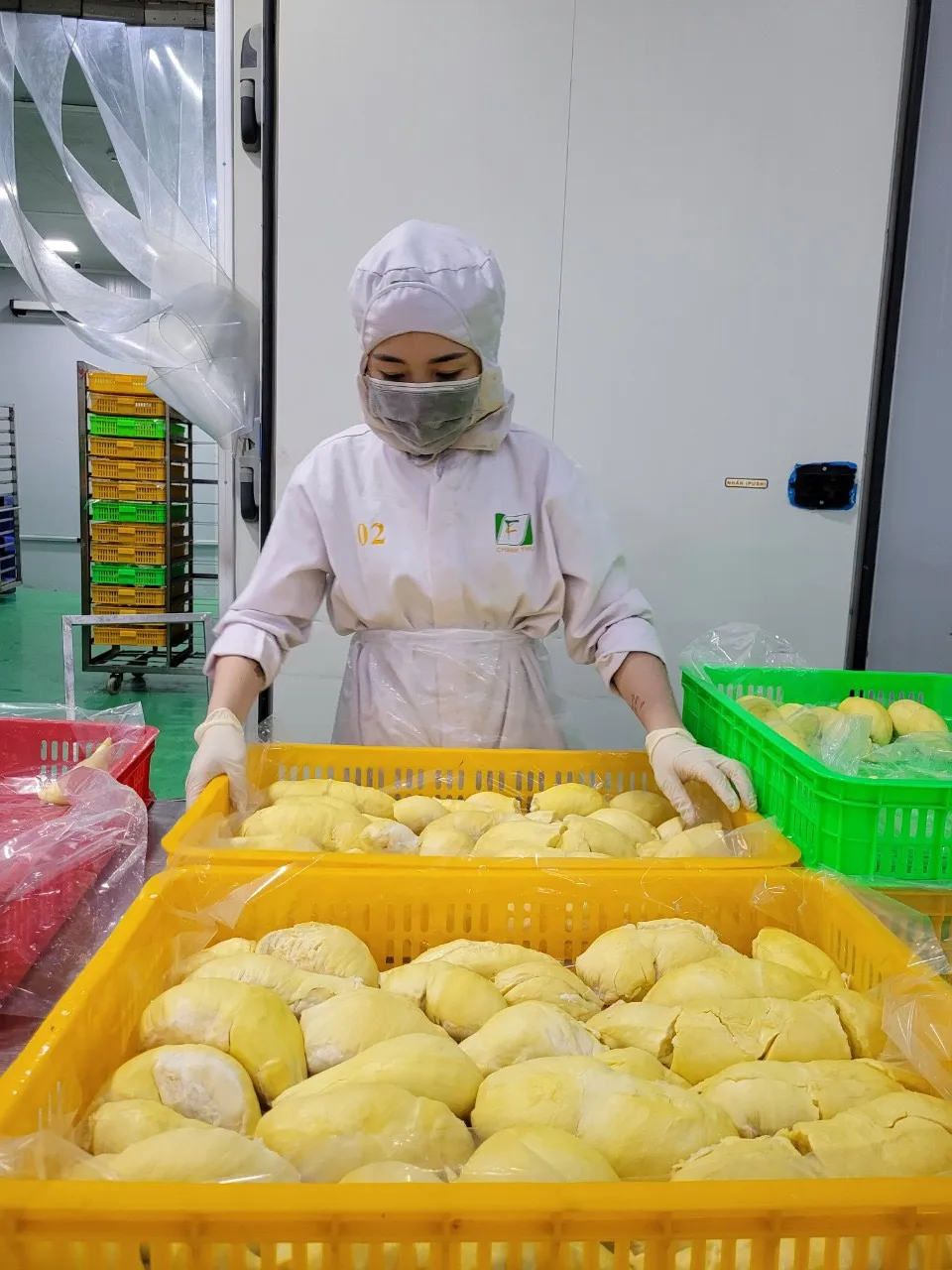 3-6 Fruits/carton Monthong/Ri6 Durian IQF Freezing Process Seed Or Seedless Organic Whole Shape Frozen Durian