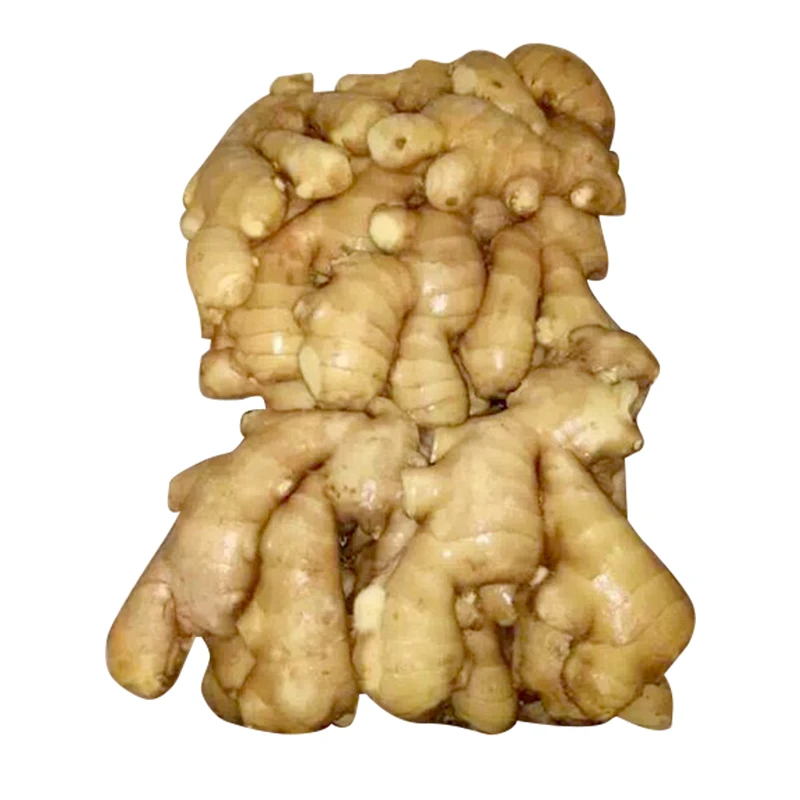 Dried Fresh Ginger Market Price Per Ton Wholesale Ginger Buyers For Export South Africa In Ginger