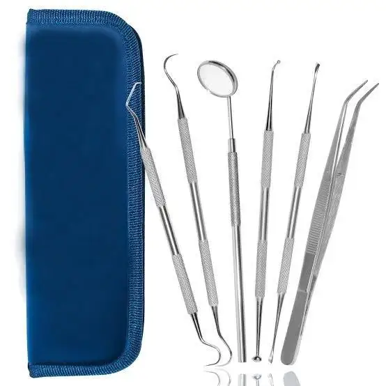 Dental Examination Kit Stainless Steel Dental Basic Examination Kit of 5 Pcs with Leather Case
