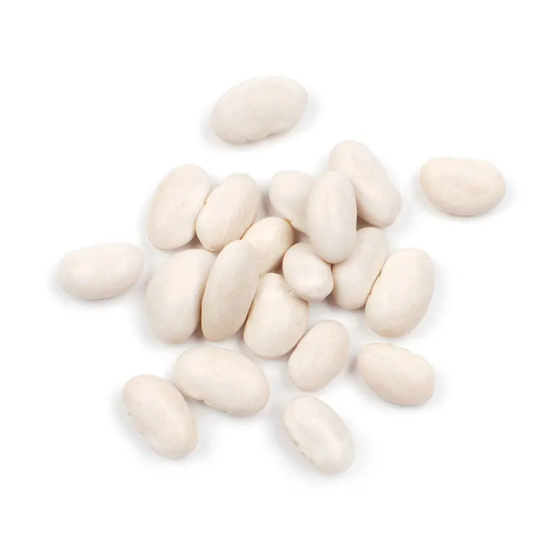 Wholesale Supplier Best Quality white kidney Beans For Sale In Cheap Price
