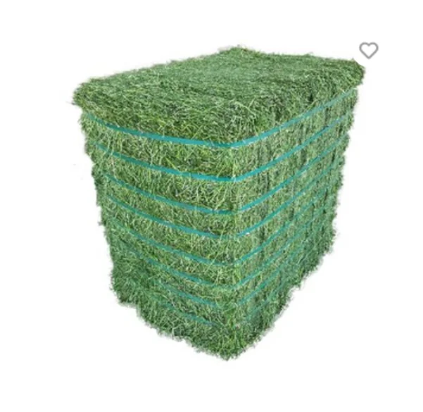 Alfalfa Hay For sale.PNG